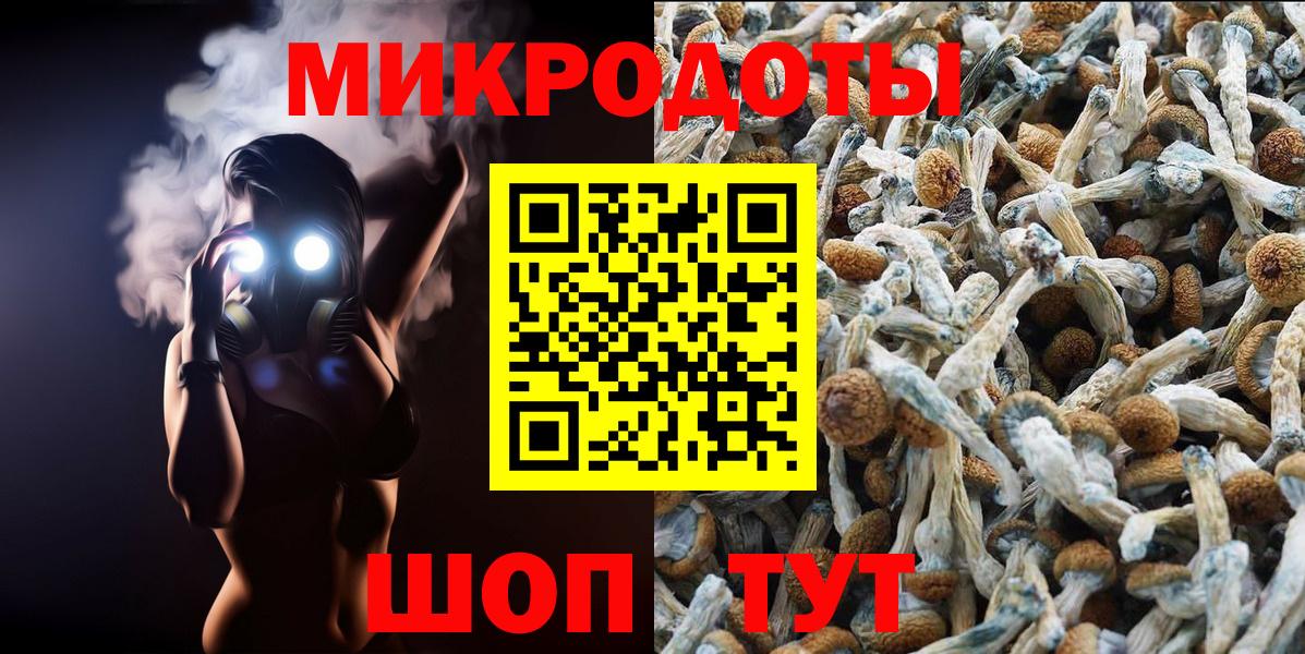Галлюциногенные грибы Magic Shrooms Волгоград