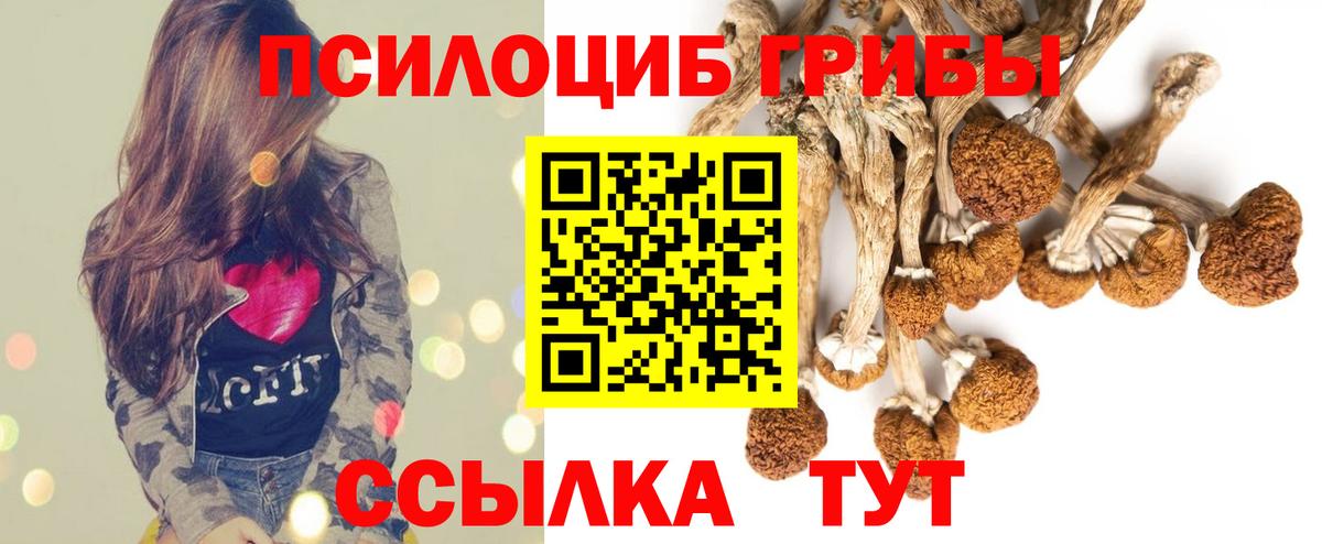 Волгоград  Галлюциногенные грибы ЛСД  Вход с VPN 