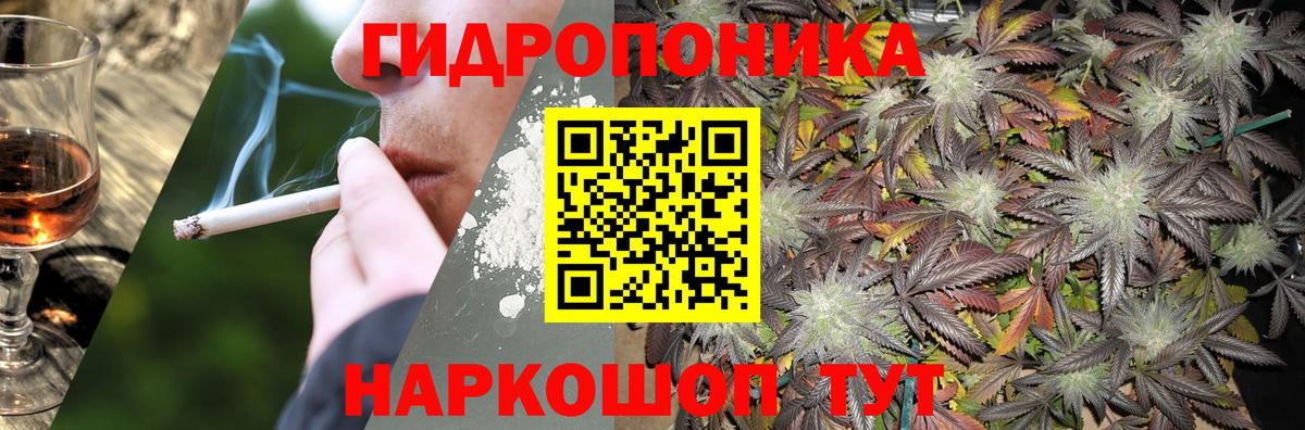 Каннабис SATIVA & INDICA Волгоград